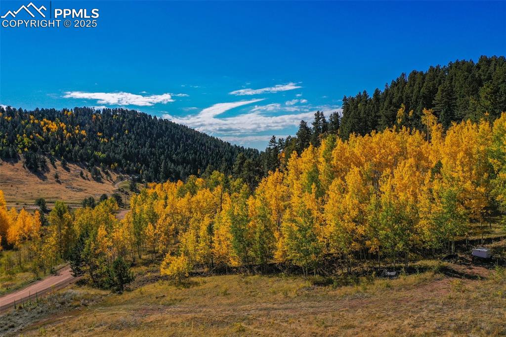 230 Penrose Circle Cripple Creek CO 80813