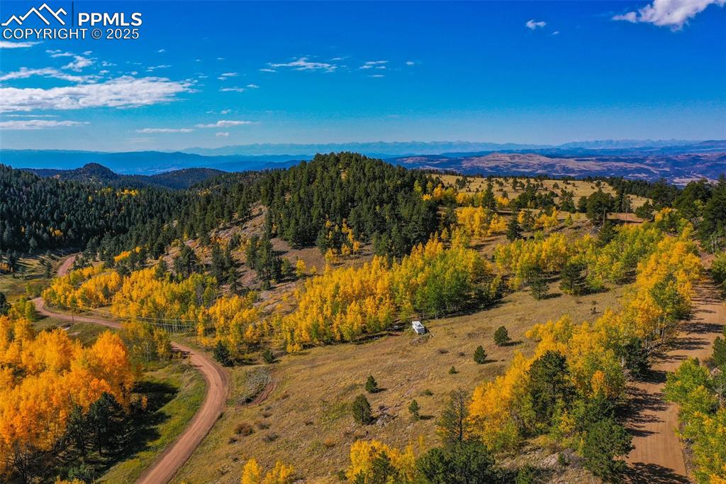 230 Penrose Circle Cripple Creek CO 80813