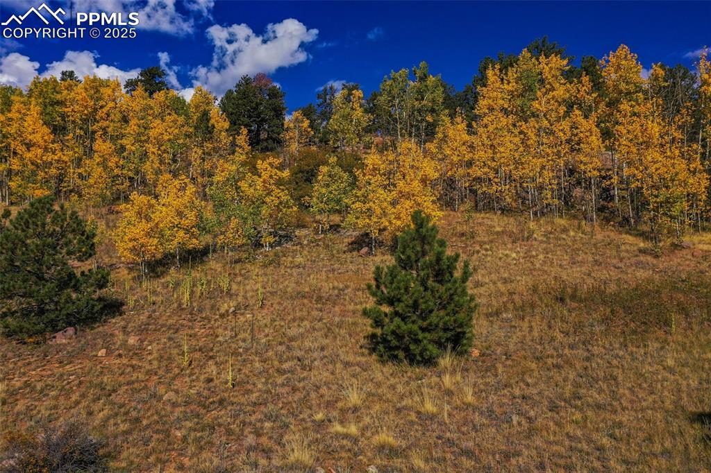 230 Penrose Circle Cripple Creek CO 80813