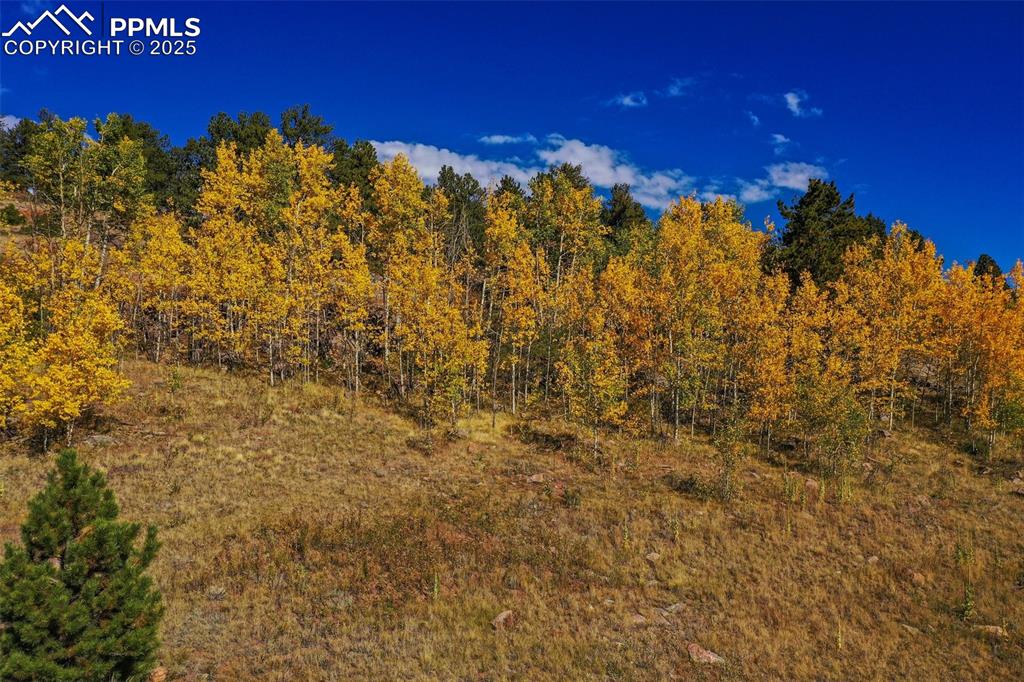 230 Penrose Circle Cripple Creek CO 80813