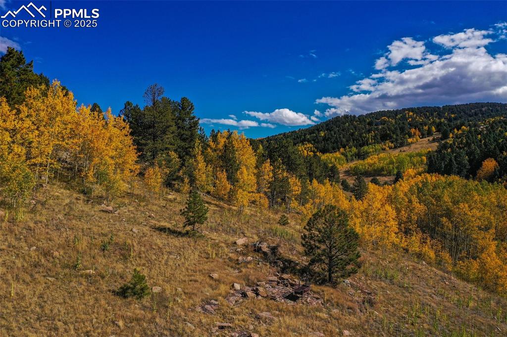 230 Penrose Circle Cripple Creek CO 80813