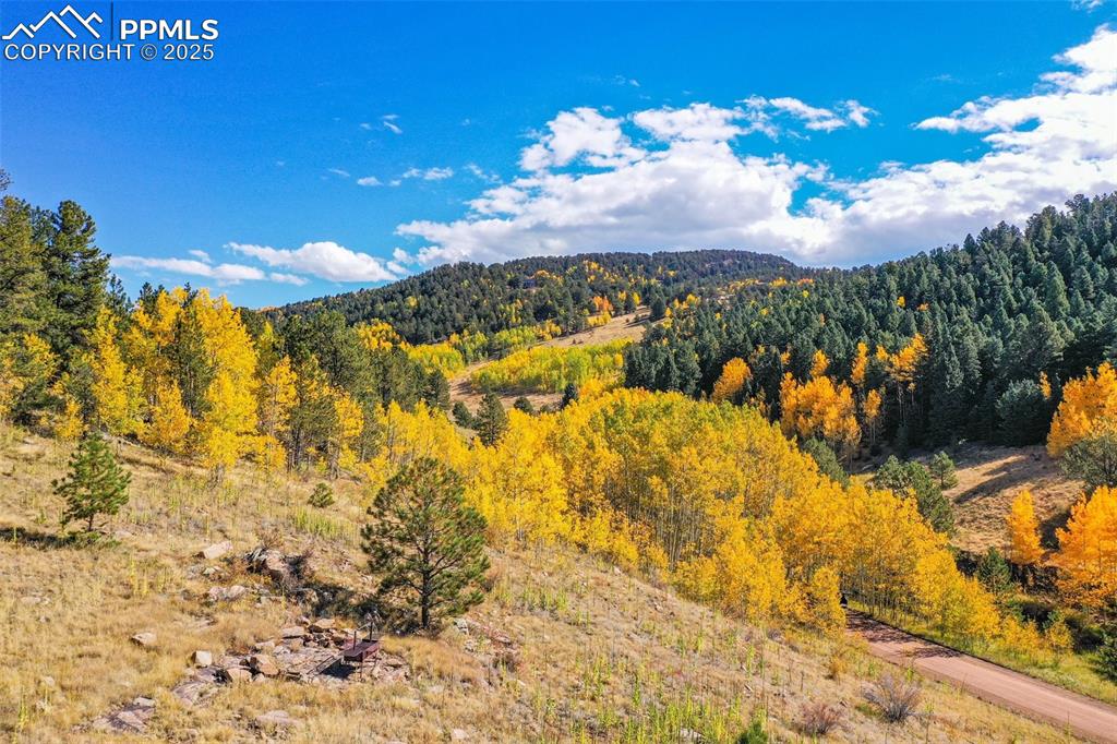 230 Penrose Circle Cripple Creek CO 80813