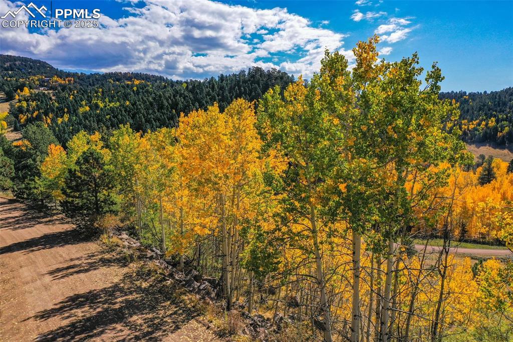 230 Penrose Circle Cripple Creek CO 80813