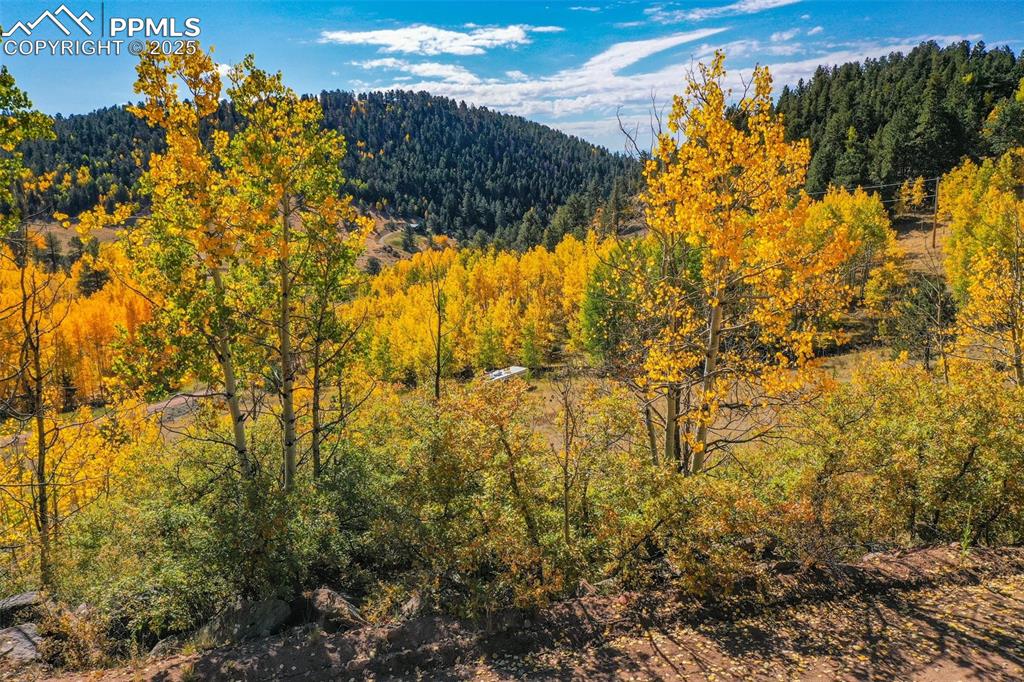 230 Penrose Circle Cripple Creek CO 80813