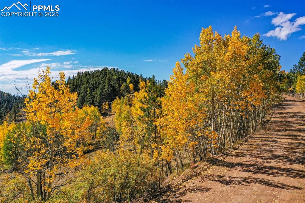 230 Penrose Circle Cripple Creek CO 80813