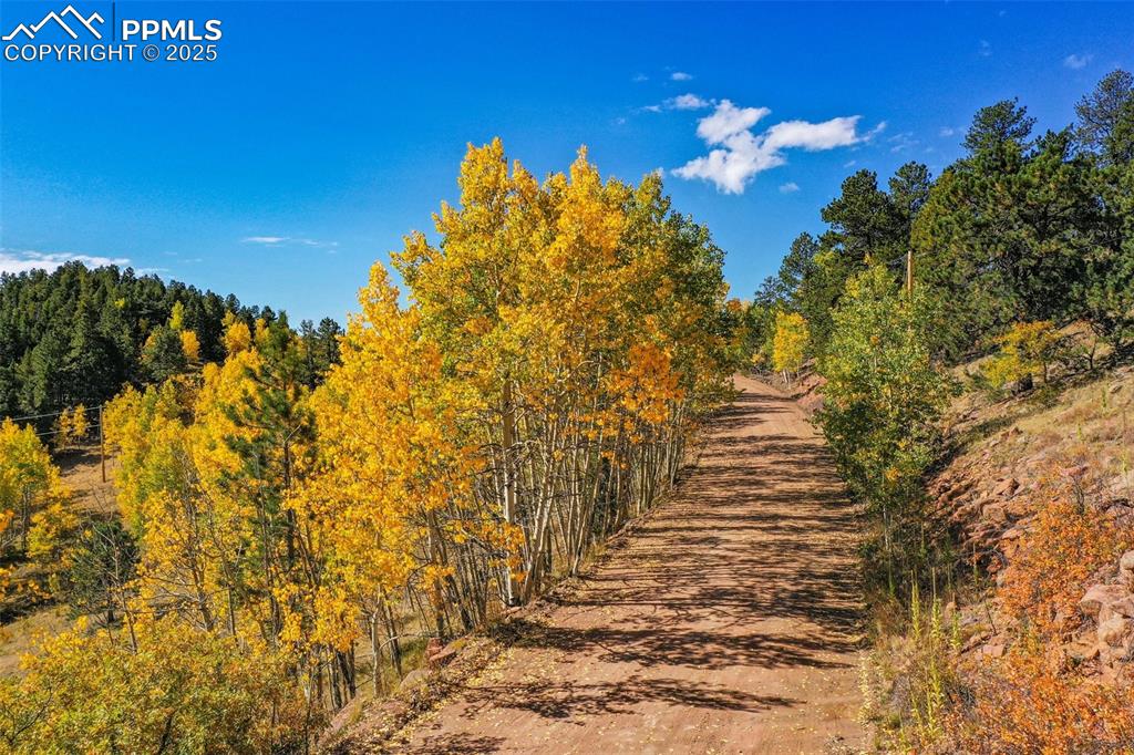 230 Penrose Circle Cripple Creek CO 80813