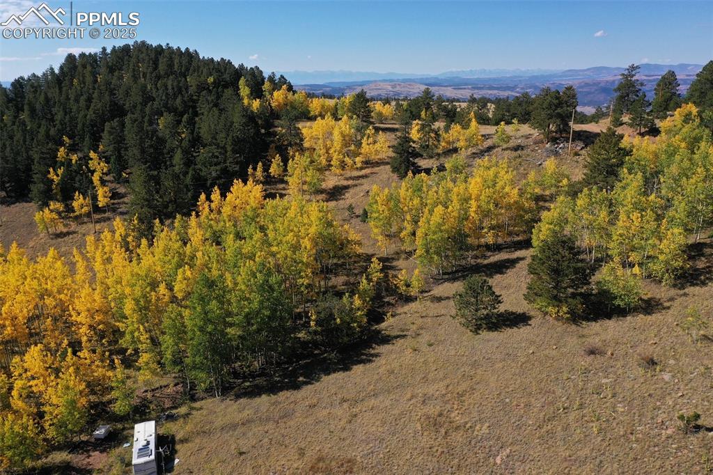 230 Penrose Circle Cripple Creek CO 80813