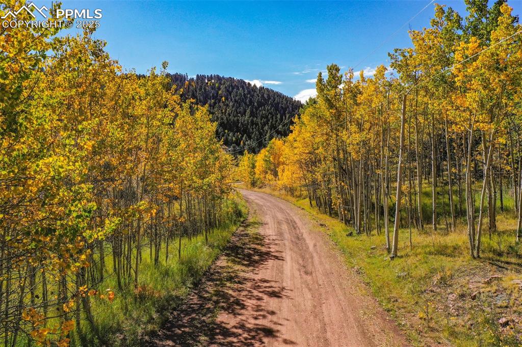 230 Penrose Circle Cripple Creek CO 80813