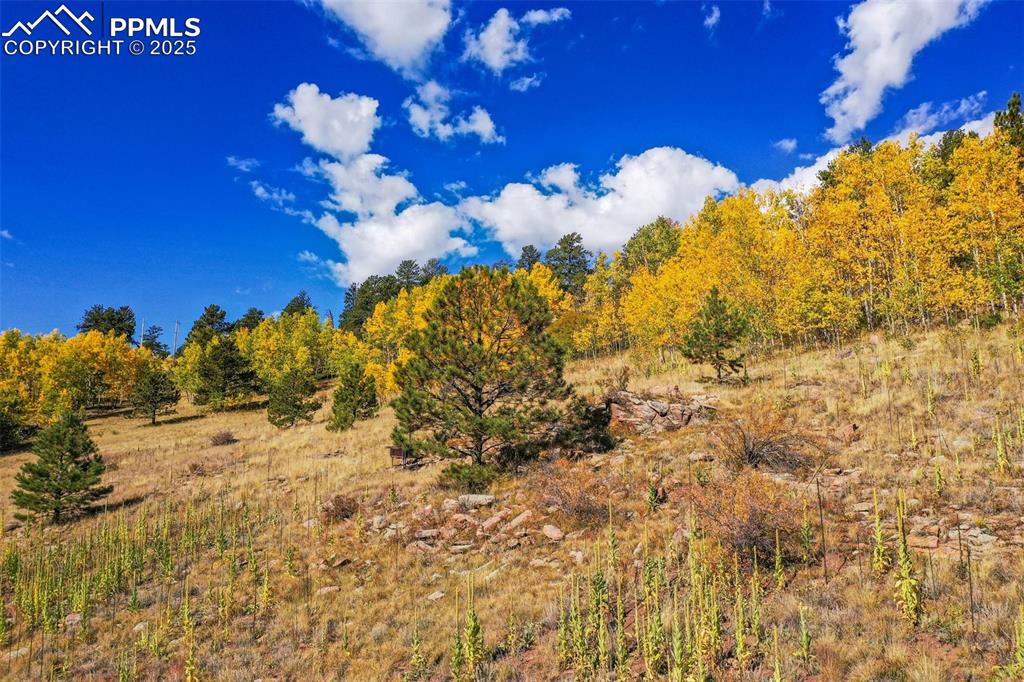 230 Penrose Circle Cripple Creek CO 80813