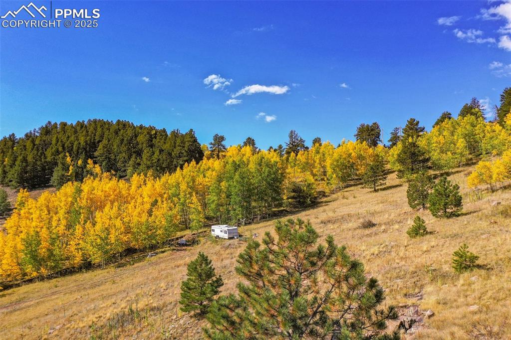 230 Penrose Circle Cripple Creek CO 80813