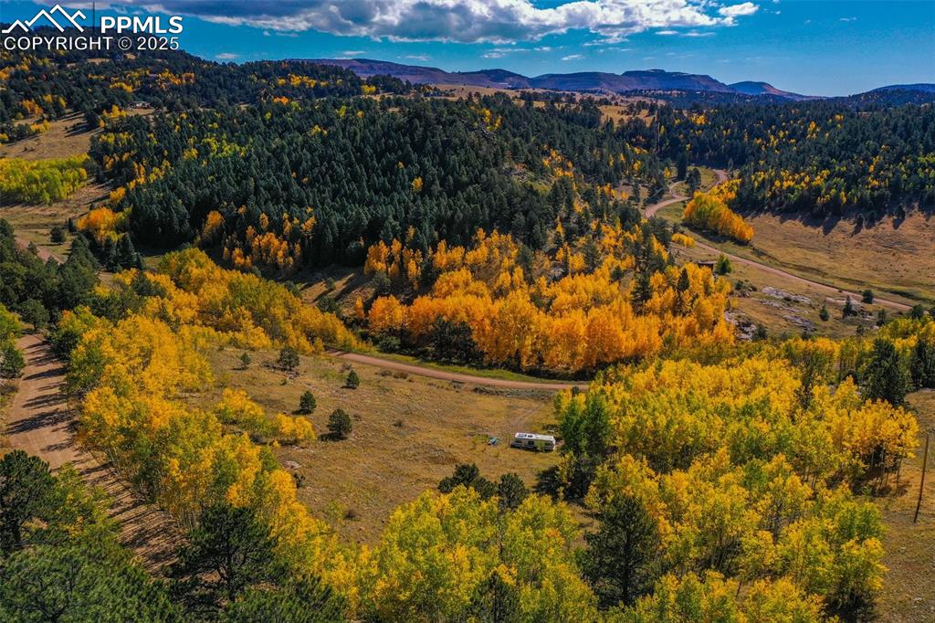 230 Penrose Circle Cripple Creek CO 80813