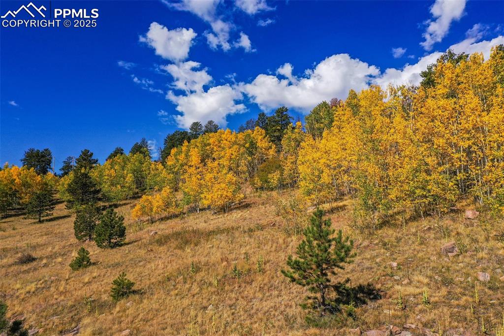230 Penrose Circle Cripple Creek CO 80813