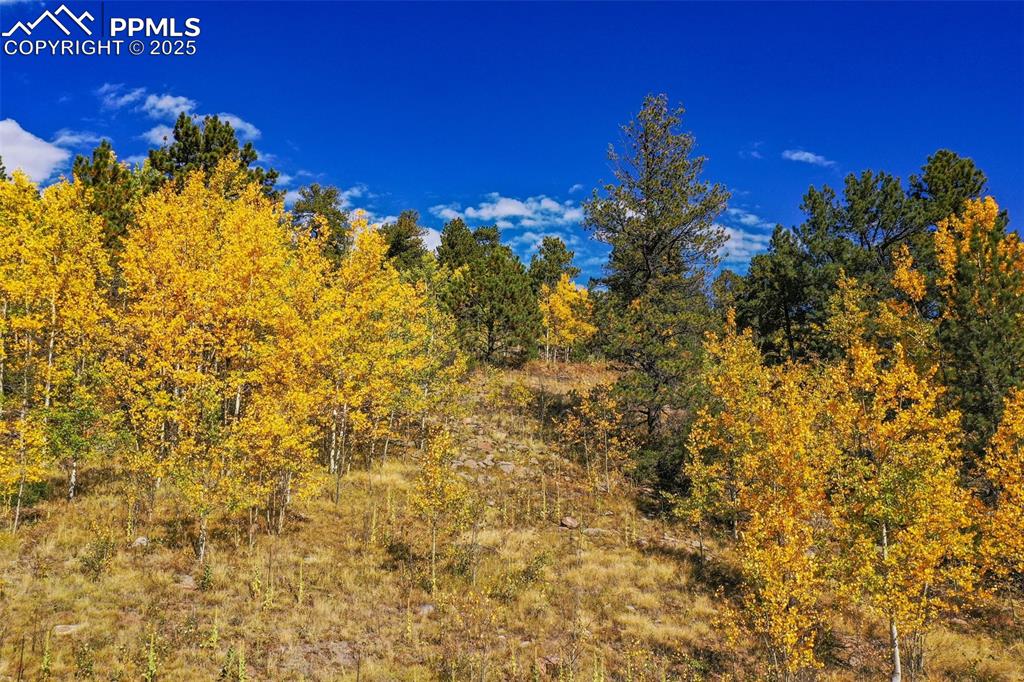 230 Penrose Circle Cripple Creek CO 80813