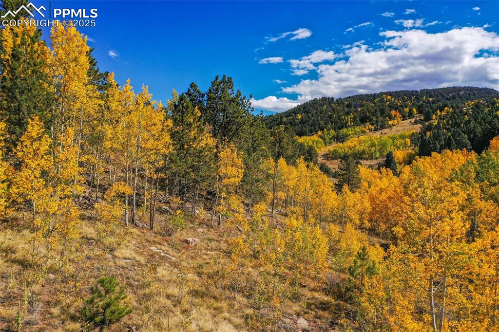 230 Penrose Circle Cripple Creek CO 80813