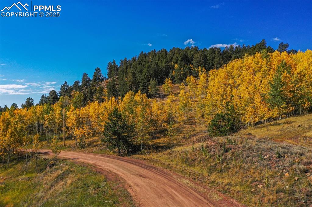 230 Penrose Circle Cripple Creek CO 80813