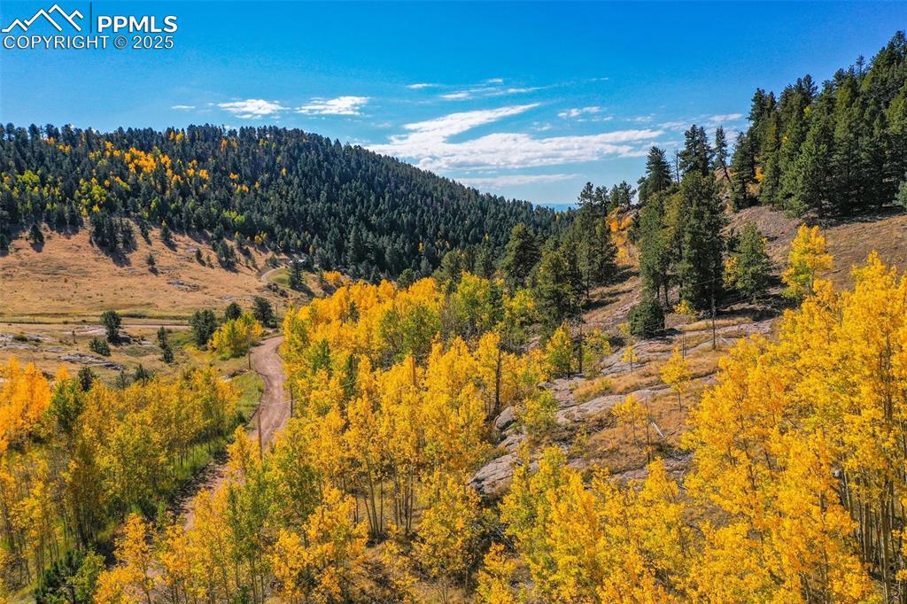 230 Penrose Circle Cripple Creek CO 80813