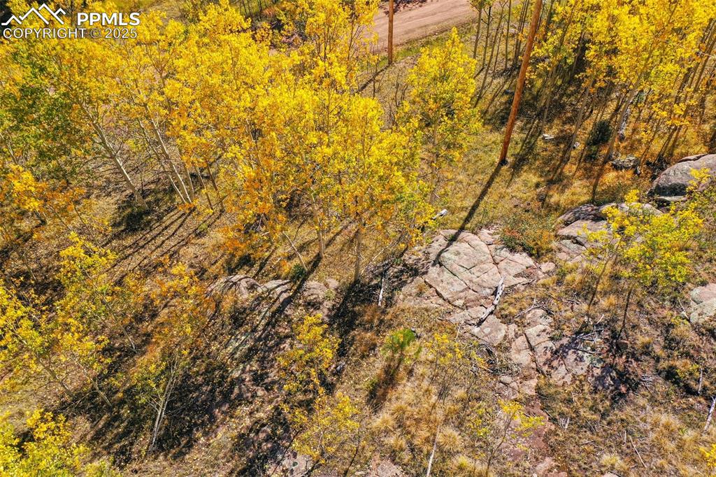 230 Penrose Circle Cripple Creek CO 80813