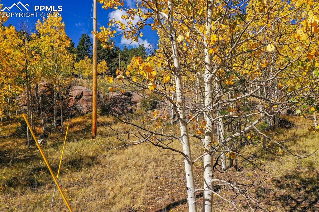 230 Penrose Circle Cripple Creek CO 80813