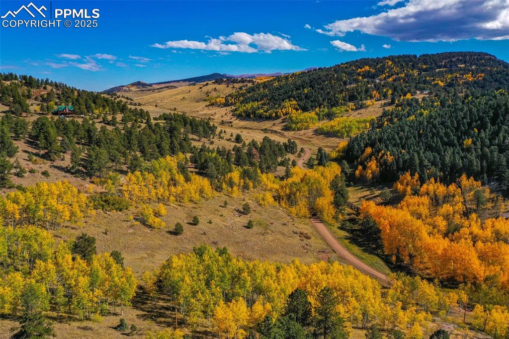 230 Penrose Circle Cripple Creek CO 80813