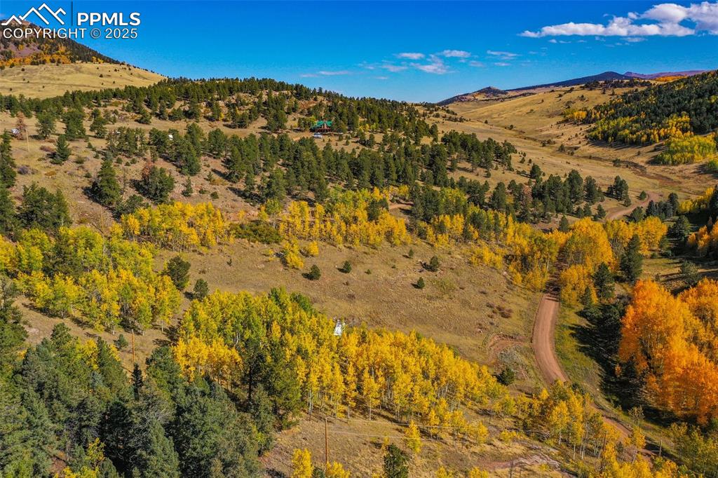230 Penrose Circle Cripple Creek CO 80813