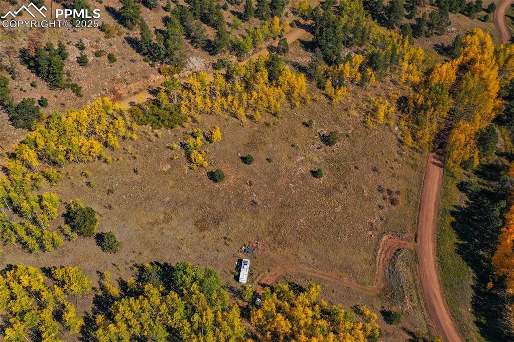 230 Penrose Circle Cripple Creek CO 80813