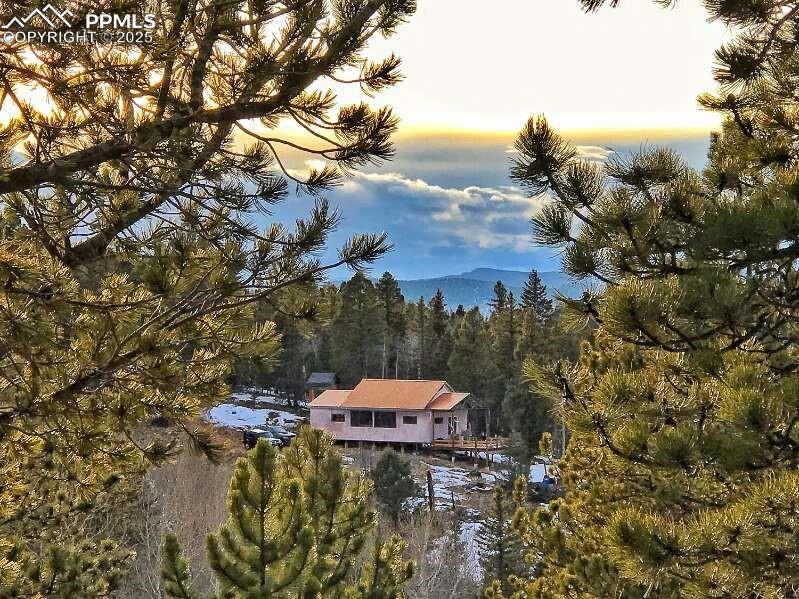 1434 Blue Mesa Drive Divide CO 80814