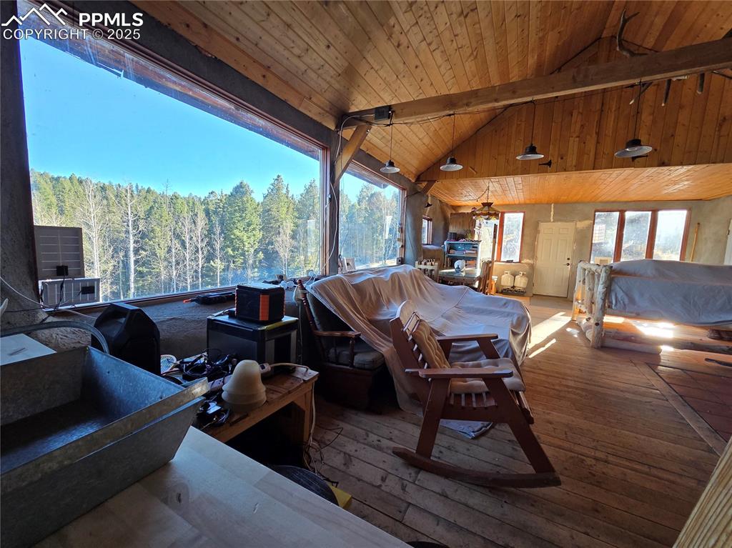 1434 Blue Mesa Drive Divide CO 80814
