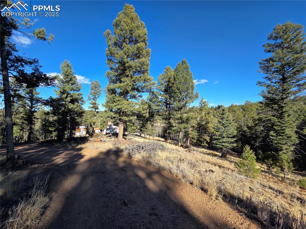 1434 Blue Mesa Drive Divide CO 80814
