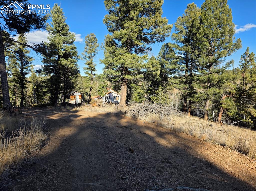 1434 Blue Mesa Drive Divide CO 80814