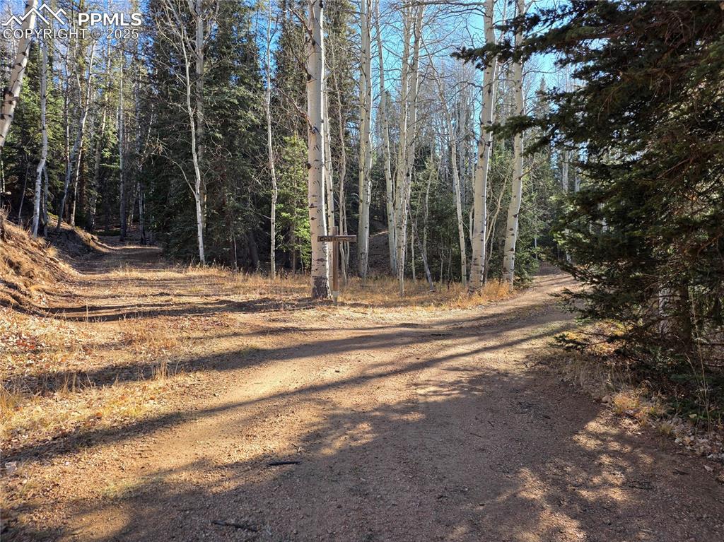 1434 Blue Mesa Drive Divide CO 80814