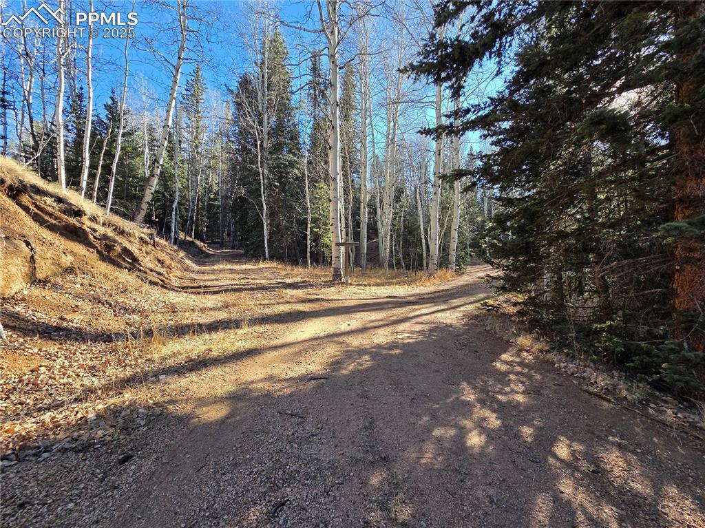 1434 Blue Mesa Drive Divide CO 80814