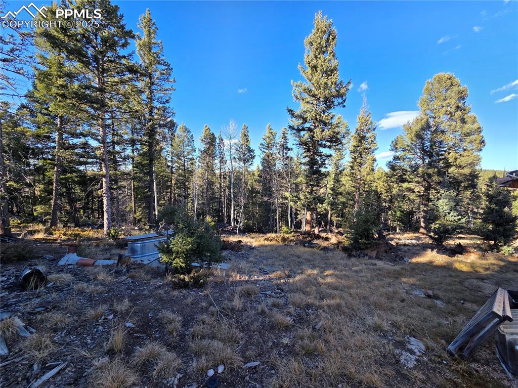 1434 Blue Mesa Drive Divide CO 80814