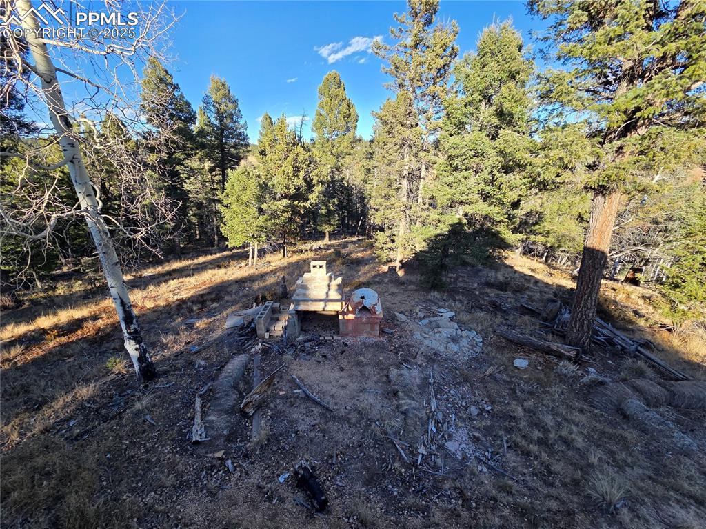 1434 Blue Mesa Drive Divide CO 80814