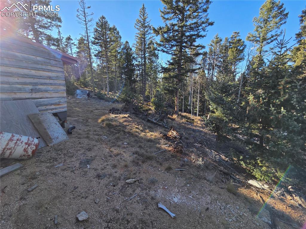 1434 Blue Mesa Drive Divide CO 80814