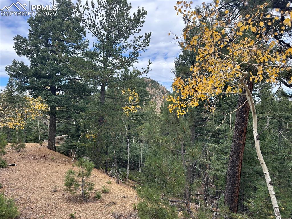 316 Summit Ridge Road Manitou Springs CO 80829