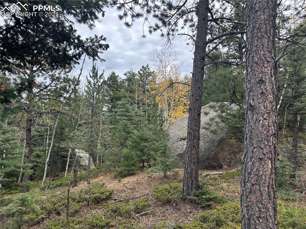 316 Summit Ridge Road Manitou Springs CO 80829