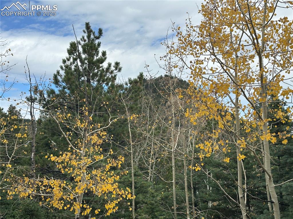 316 Summit Ridge Road Manitou Springs CO 80829