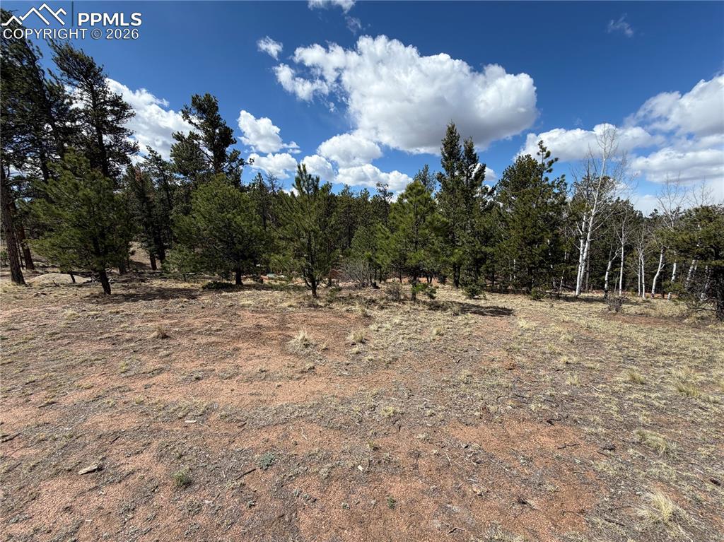 2988 Pikes Peak Drive Florissant CO 80816