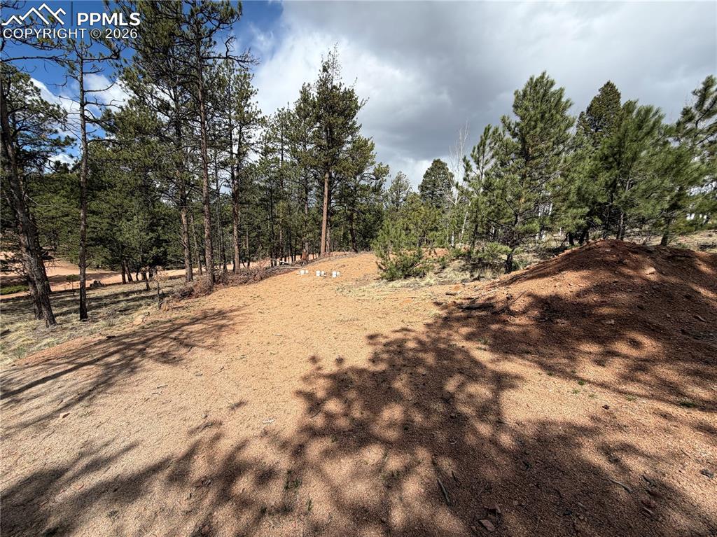2988 Pikes Peak Drive Florissant CO 80816