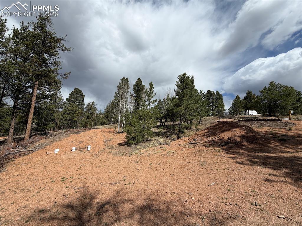 2988 Pikes Peak Drive Florissant CO 80816