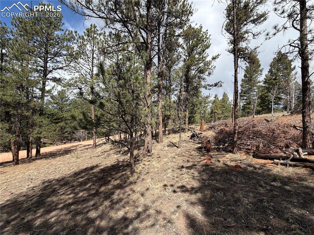 2988 Pikes Peak Drive Florissant CO 80816