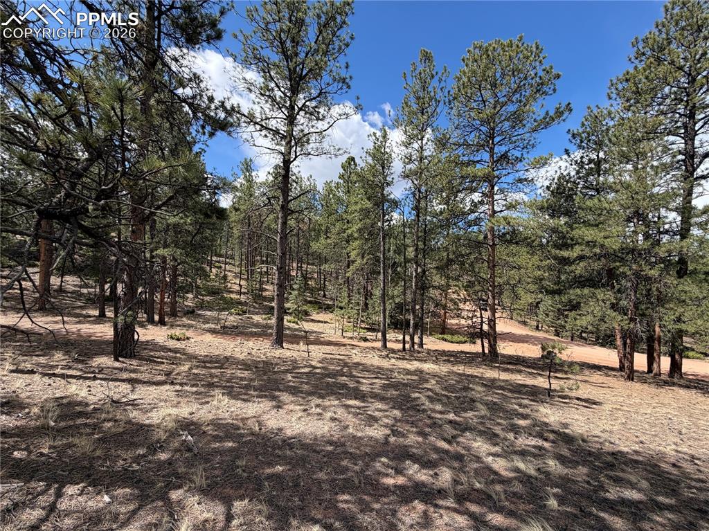 2988 Pikes Peak Drive Florissant CO 80816