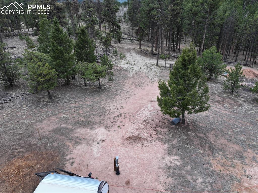 2988 Pikes Peak Drive Florissant CO 80816