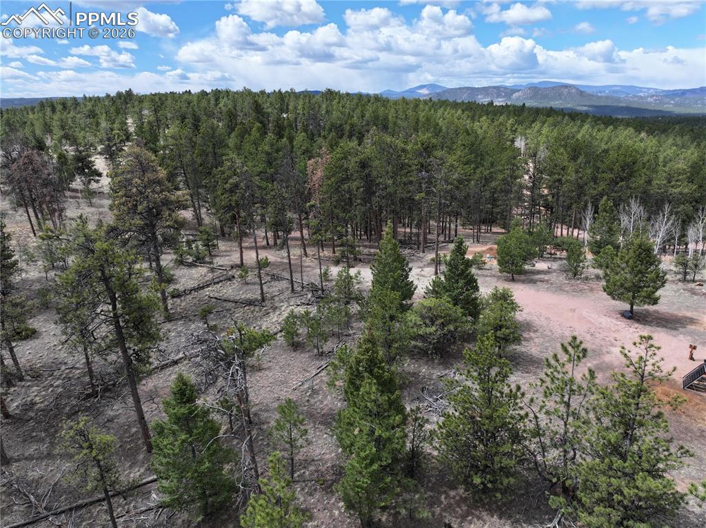 2988 Pikes Peak Drive Florissant CO 80816