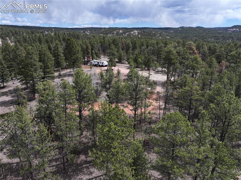2988 Pikes Peak Drive Florissant CO 80816