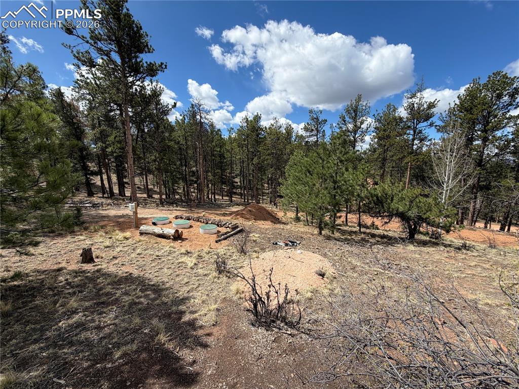 2988 Pikes Peak Drive Florissant CO 80816
