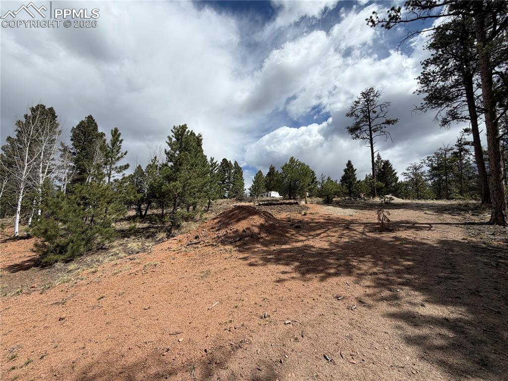 2988 Pikes Peak Drive Florissant CO 80816
