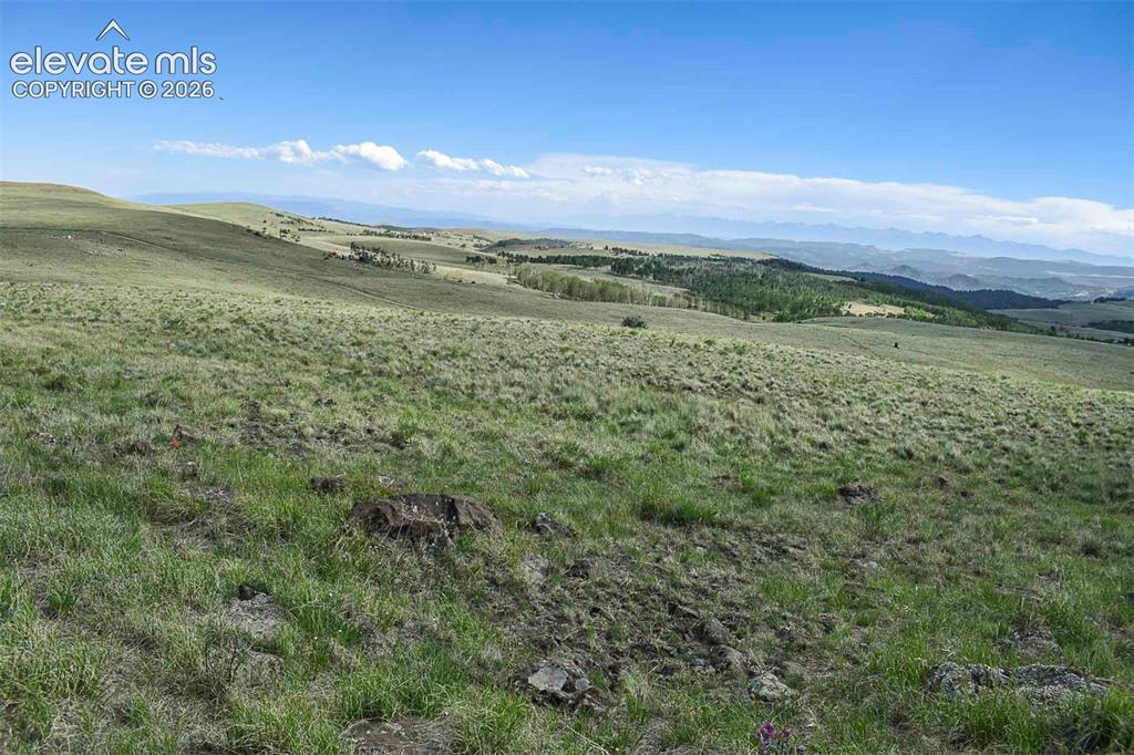 00 Bear Cat Road Guffey CO 80820