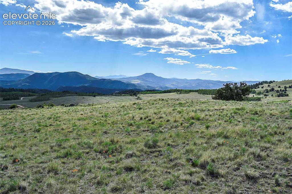00 Bear Cat Road Guffey CO 80820