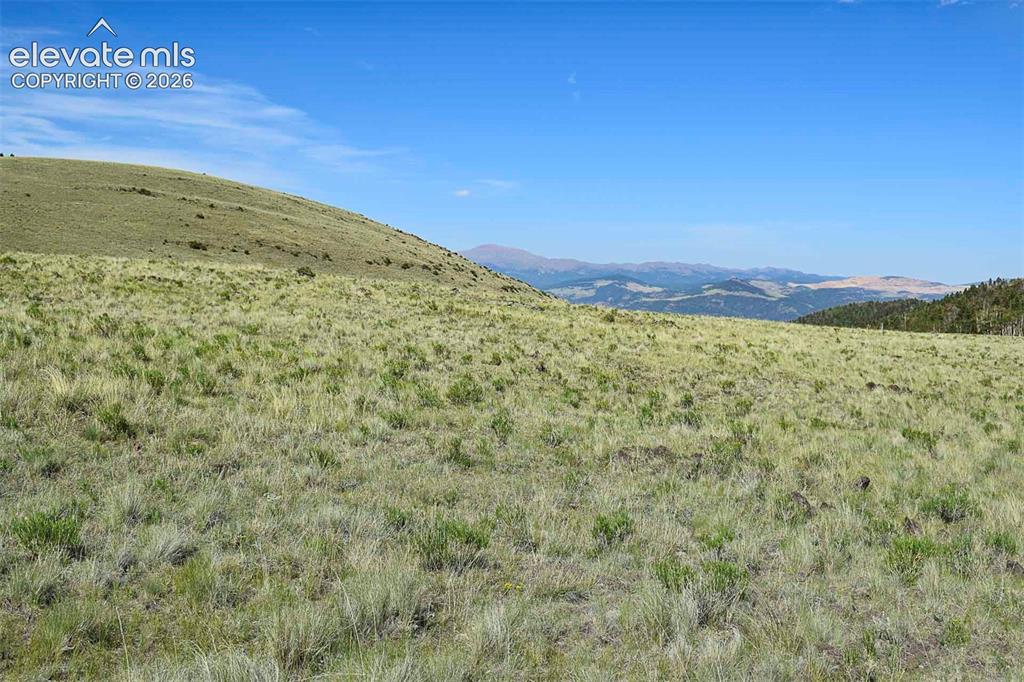 00 Bear Cat Road Guffey CO 80820